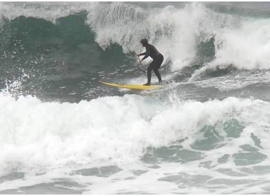 Judy Shasek surfing